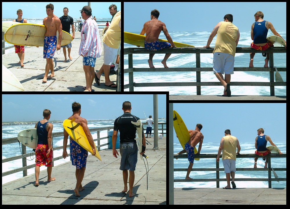 (10) montage of wussies (misc pier shots).jpg   (1000x720)   360 Kb                                    Click to display next picture